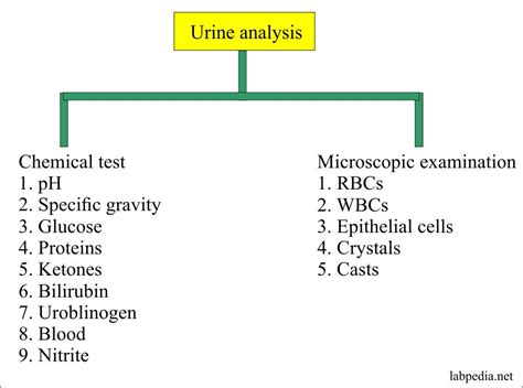 laboratory analysis of urine|types of urine analysis tests.